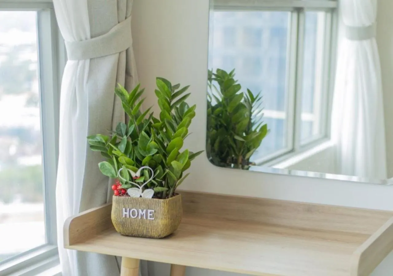 The Song Apartment - Nha Cua Kim Vung Tau Aparthotel